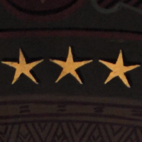 Etoiles pentagonales au plafond de la galerie Campana. Musée du Louvre. Paris